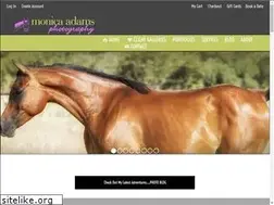 Sites similar to monicaadamsphotography.com