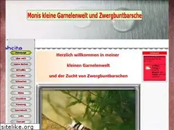 Sites similar to monis-kleine-garnelenwelt.de
