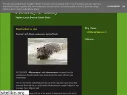 Sites similar to monkeydlulffy.blogspot.com