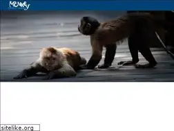 Sites similar to monkeysanctuary.co.za