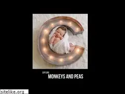 Sites similar to monkeysandpeas.com