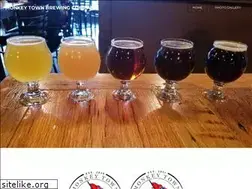 Sites similar to monkeytownbrewing.com