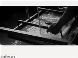 Sites similar to monme.net