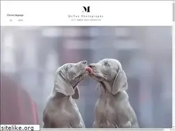 Sites similar to monoafotografie.nl