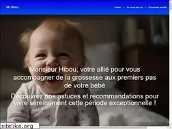 Sites similar to monsieur-hibou.fr