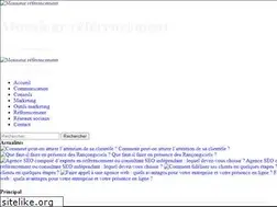 Sites similar to monsieur-referencement.com