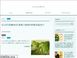 Sites similar to monstera-plant.biz
