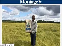 Sites similar to montageafrica.com
