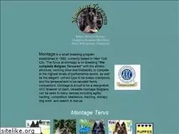Sites similar to montagetervs.com