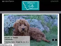 Sites similar to montanagoldendoodles.com