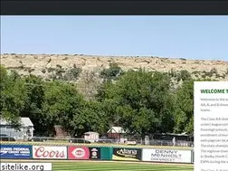 Sites similar to montanalegionbaseball.org