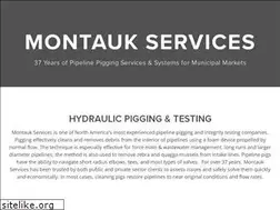 Sites similar to montaukservices.net