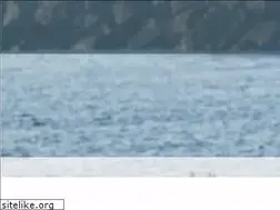 Sites similar to montereybaymarine.com