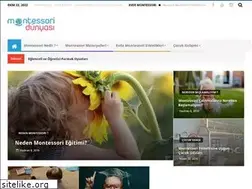 Sites similar to montessoridunyasi.com
