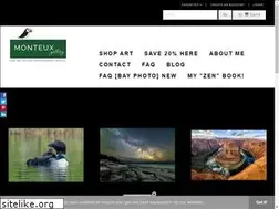 Sites similar to monteuxgallery.com