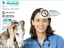 Sites similar to montevilveterinarios.com