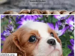 Sites similar to monticellocavaliers.com