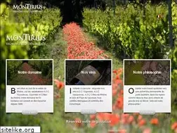 Sites similar to montirius.com