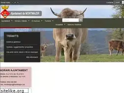 Sites similar to montmajor.cat