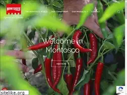 Sites similar to montosco.it