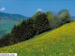 Sites similar to montoso.com