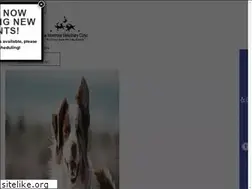 Sites similar to montrosevetclinic.com