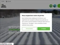 Sites similar to montsaintbruno.com