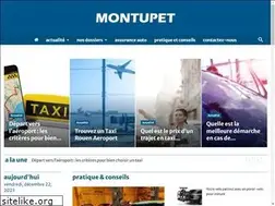 Sites similar to montupet.fr