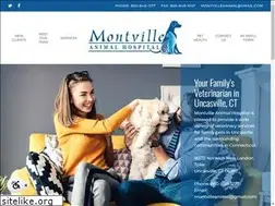 Sites similar to montvillevet.com