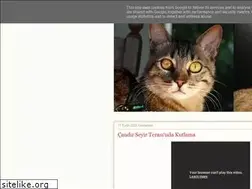 Sites similar to moonlightcat13.blogspot.com