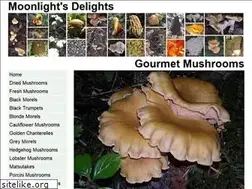 Sites similar to moonlightsdelights.com