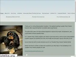 Sites similar to moonshadowcavaliers.com