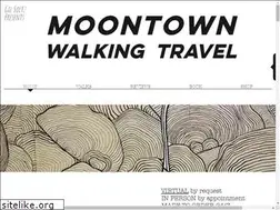 Sites similar to moontowntravel.com