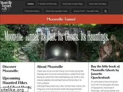Sites similar to moonvilletunnel.net