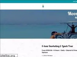 Sites similar to mooreamititours.com