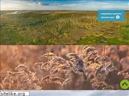 Sites similar to moorwissen.de