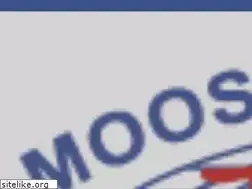 Sites similar to moosbachdemexico.com