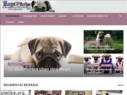 Sites similar to mops-pfote.com