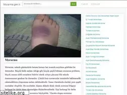 Sites similar to morarma.gen.tr