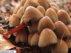 Sites similar to moravske-karpaty.cz