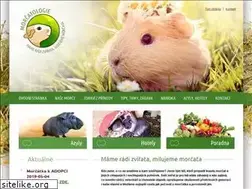 Sites similar to morcatologie.cz