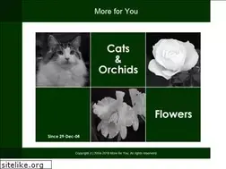 Sites similar to more4you.jp
