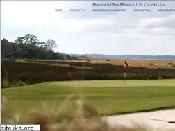 Sites similar to moreheadcitycc.com