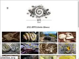 Sites similar to moreliapythonradio.com