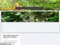 Sites similar to morels.com