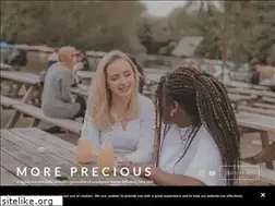 Sites similar to moreprecious.co.uk