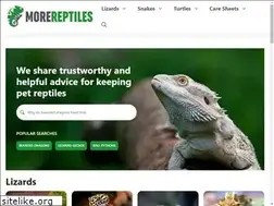 Sites similar to morereptiles.com