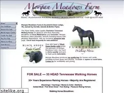 Sites similar to morganmeadowsfarm.com