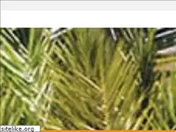 Sites similar to morhara-morocco-tours.com