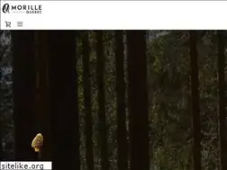 Sites similar to morillequebec.com